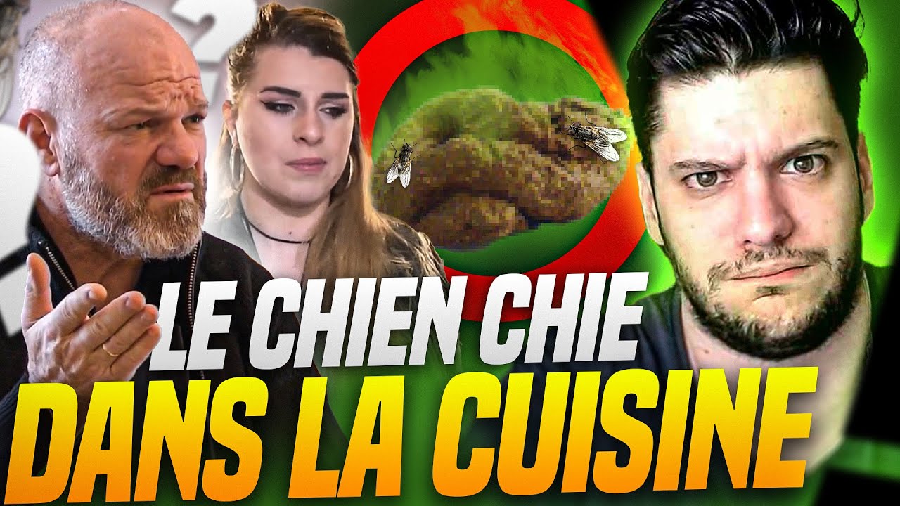 LE CHIEN FAIT CACA DANS LA CUISINE ?! (la c'est trop)