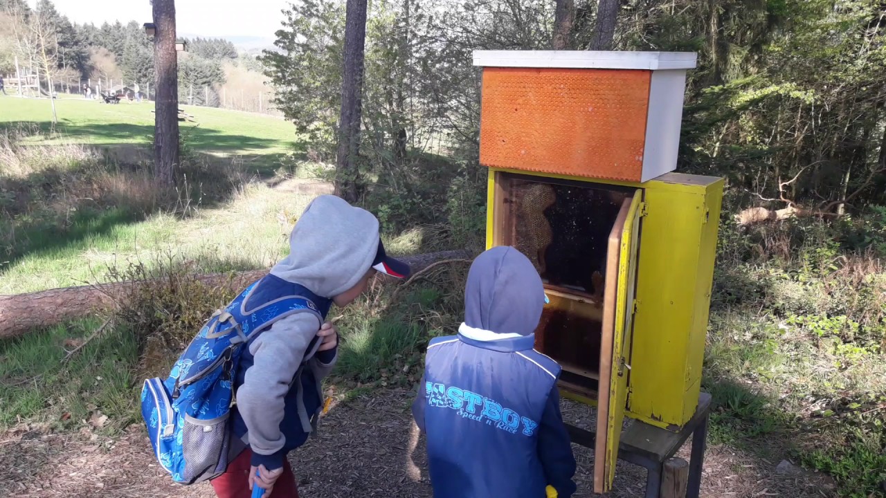 Landal Sonnenberg