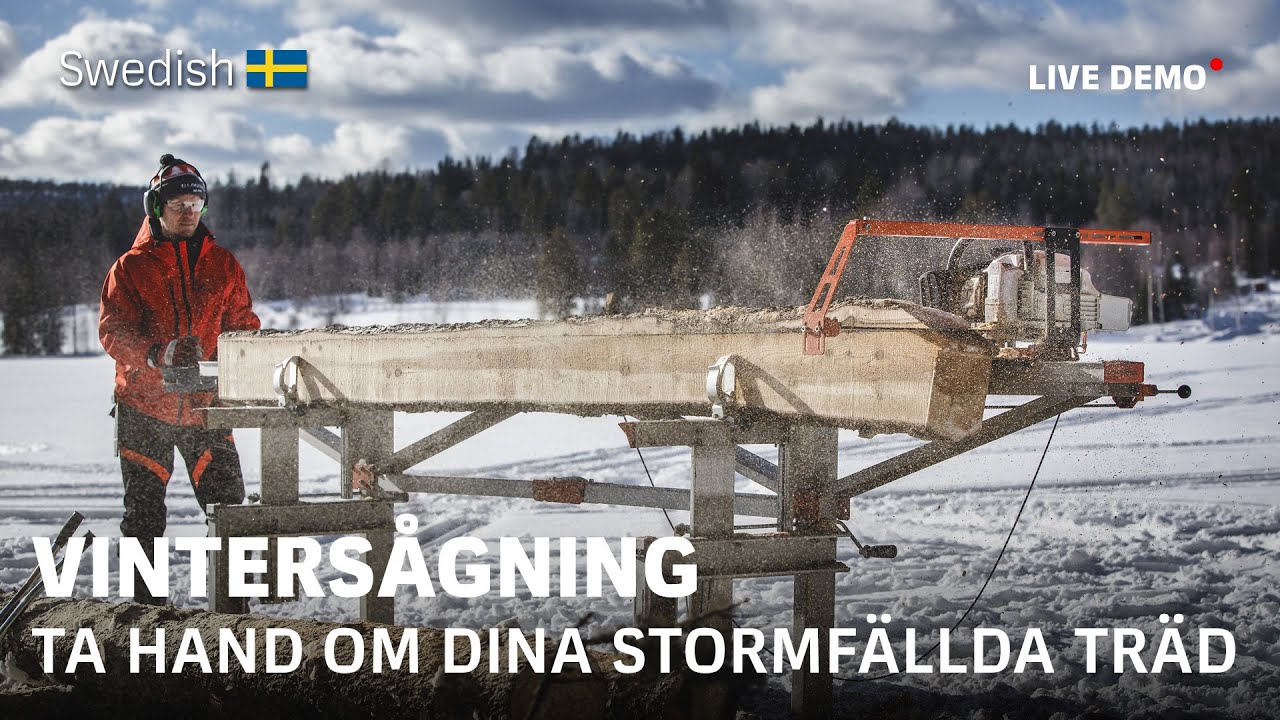 Vintersågning och tankar kring omhändertagande av stormfällda träd  LOGOSOL