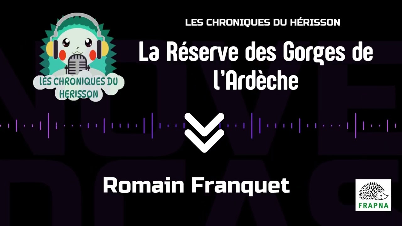 Romain Franquet : Les Gorges de l'Ardèche - Chroniques du Hérisson 2023-2024 e6