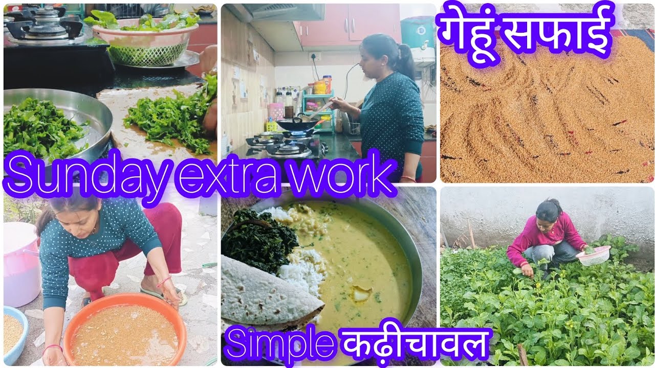 🌺Housewife morning 6:00 to evening vlog|| अपने garden की हरि सब्जी😋|| Sunday का दिन extra काम😊#vlog 