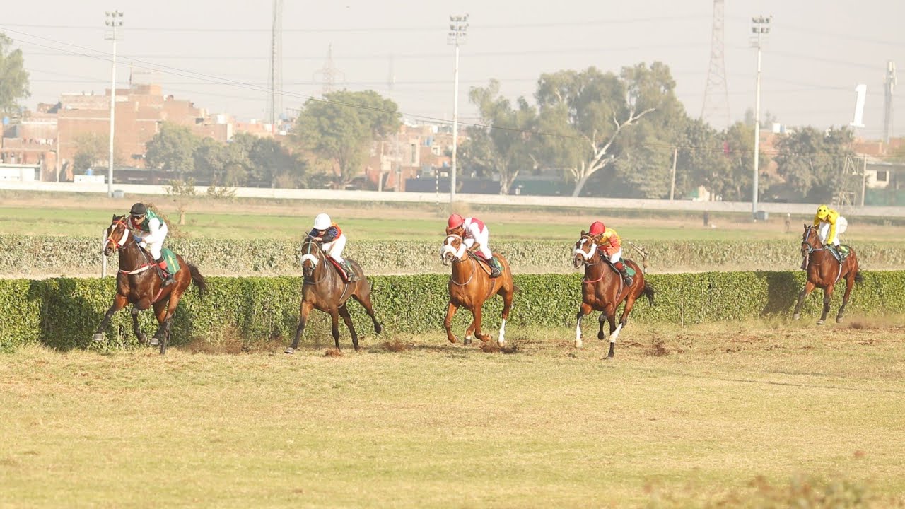 5th Race A Term Cup Race For 3 Years Old Distance 1400 Meters Winner Sultan ( Pakistan Horse Racing)