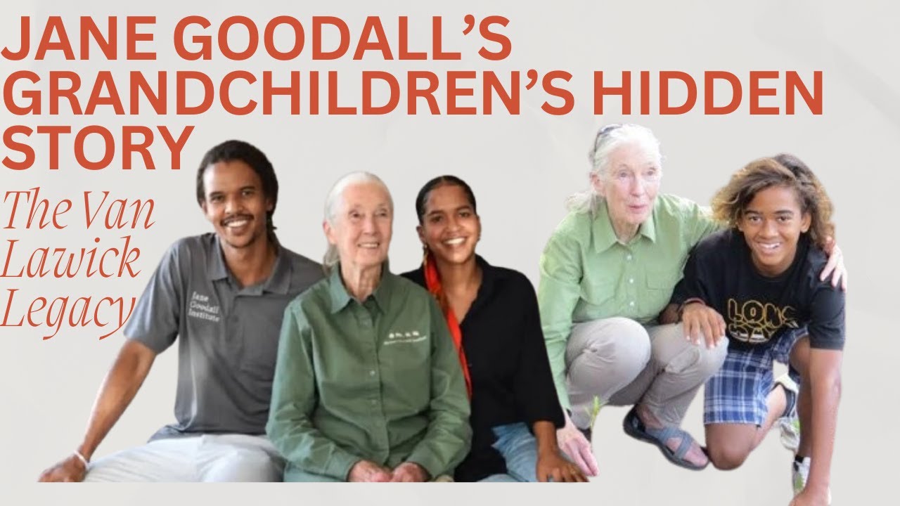 Jane Goodall’s Grandchildren The Van Lawick Legacy