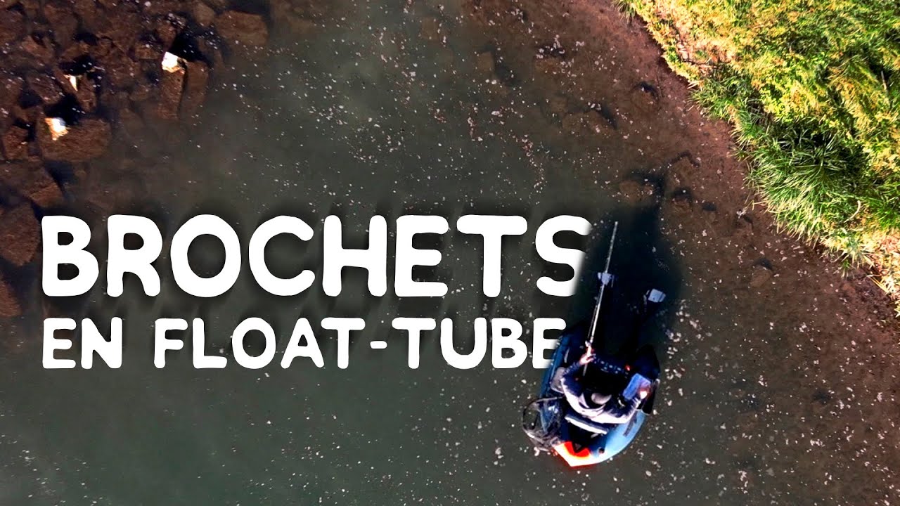BROCHETS EN FLOAT TUBE SUR LE RHIN