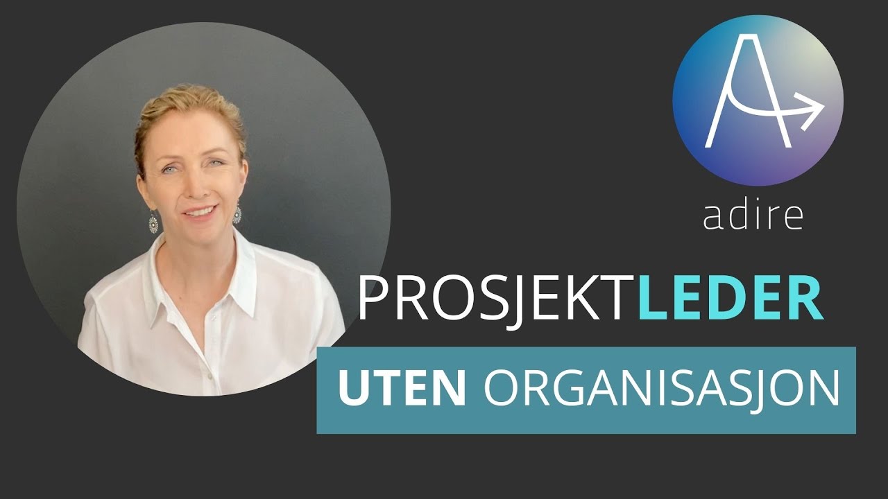 Prosjektleder uten prosjektorganisasjon