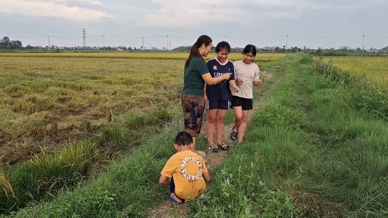 Cánh đồng Yên Thằng