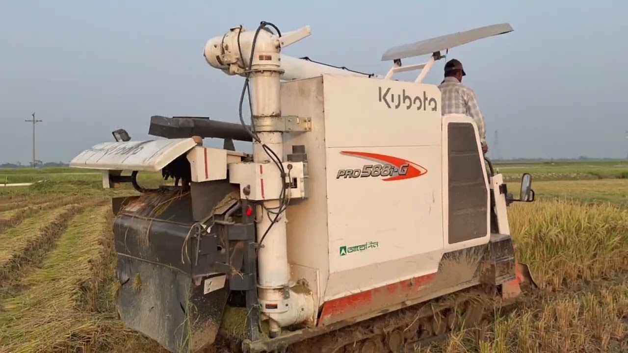 কম্বাইন্ড হার্ভেস্টার এ ধান কাটা চলছে