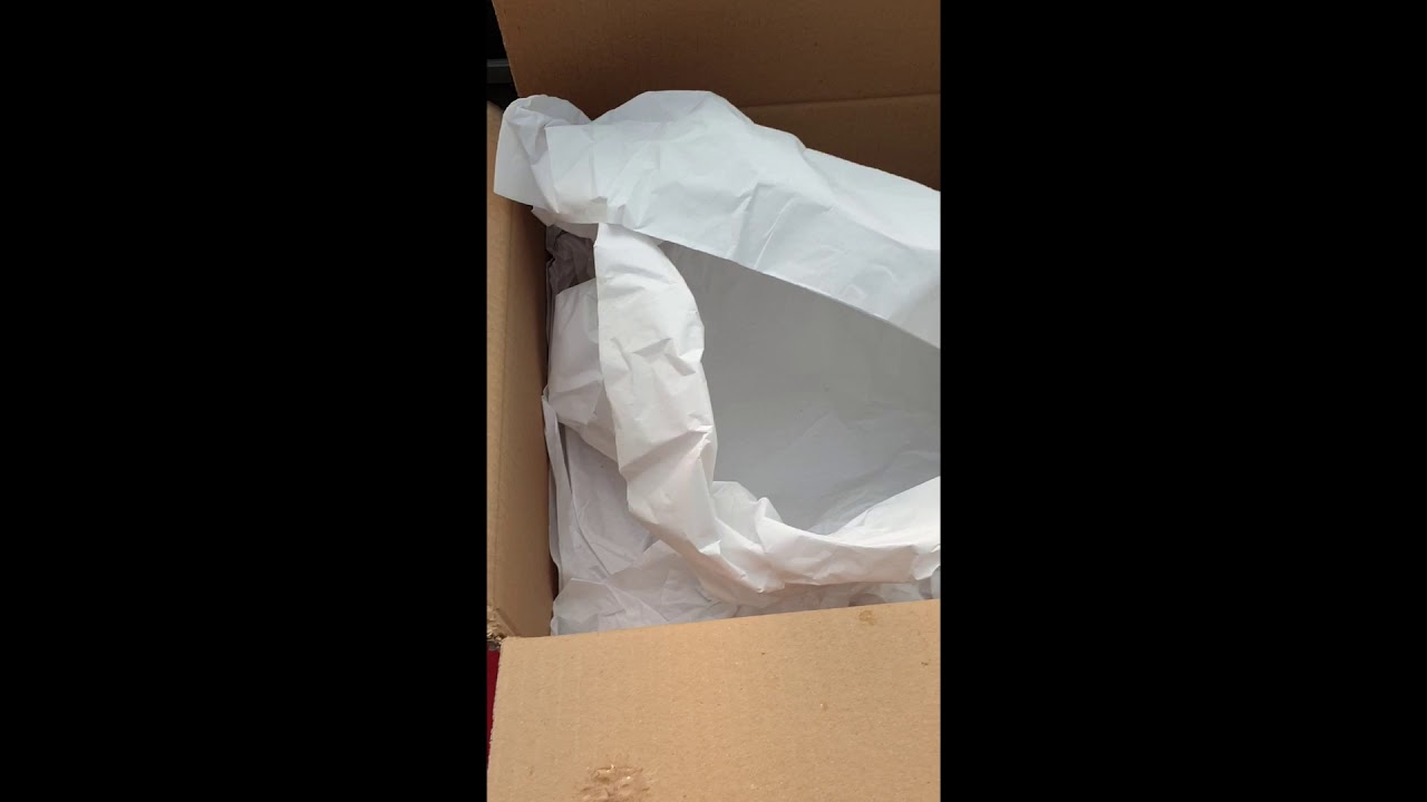 wistuba unboxing, latest order has arrived!! nepenthes and heliamphora :)