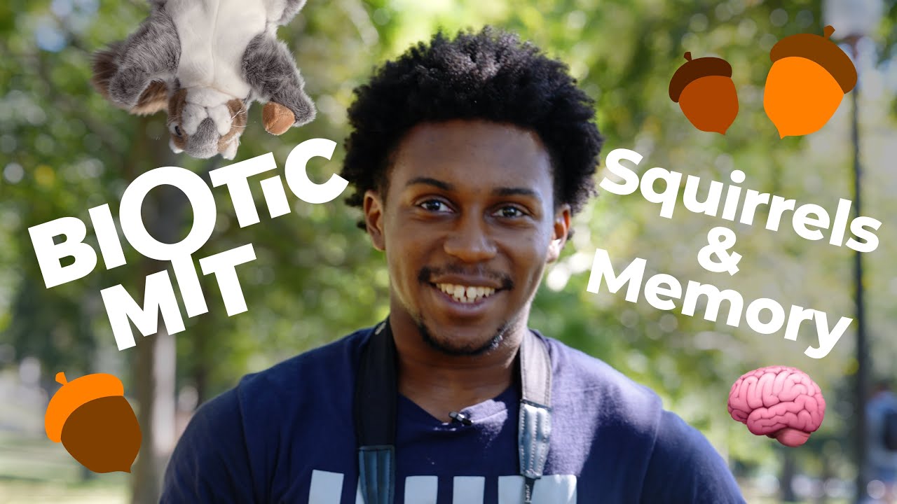 Biotic MIT: Squirrels and Memory!