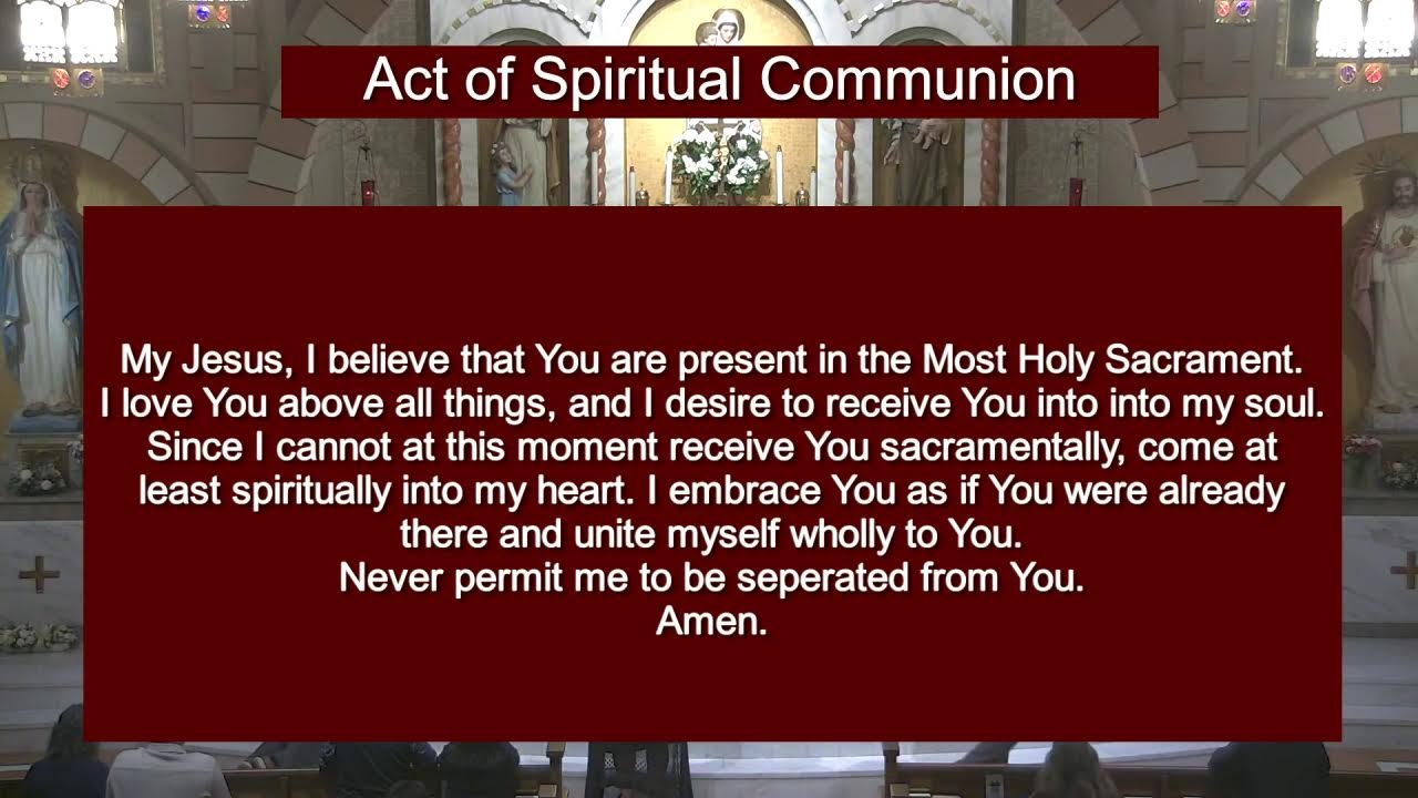 Daily Rosary & Mass | 2026.02.10
