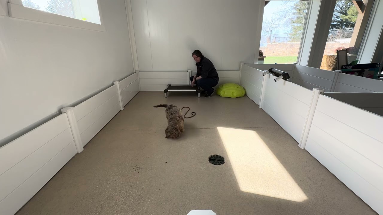 Rocco Training Session 02/26