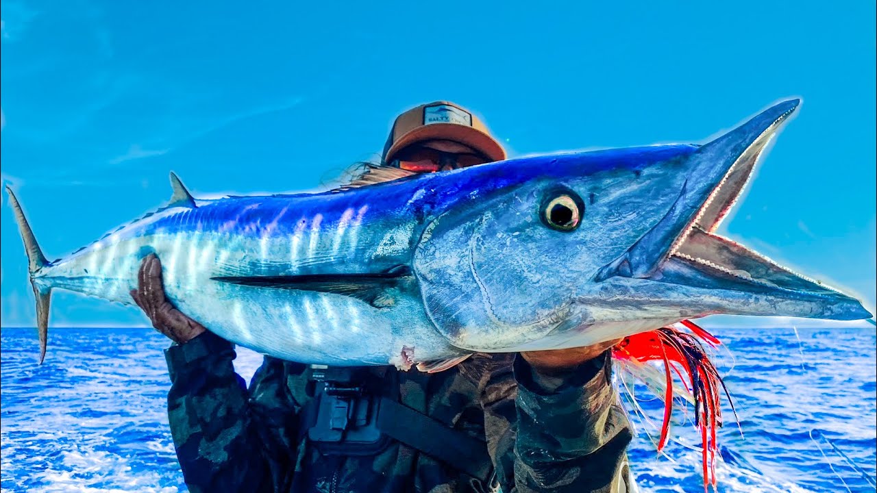 Catching WAHOO Under ABANDONED BOAT (Puerto Rico)