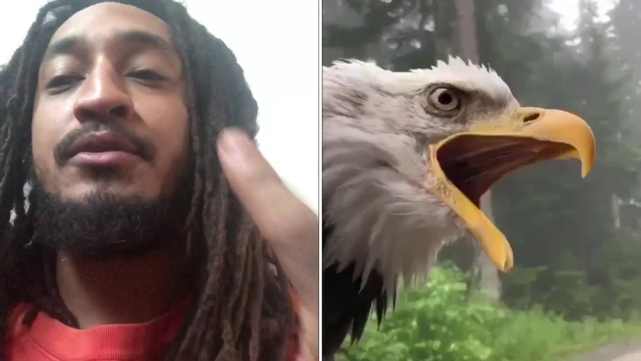 I NEVER KNEW THESE ANIMALS MADE THESE NOISES🤔😩🤷🏽‍♂️