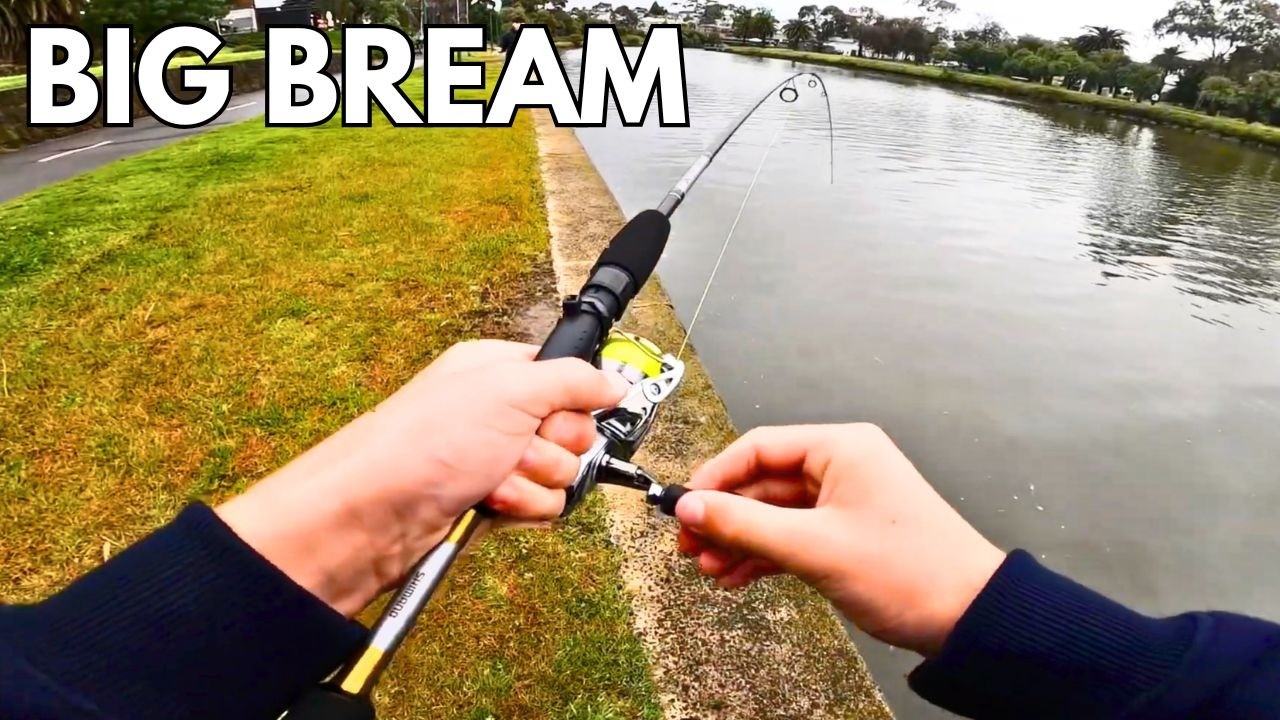 INSANE Fishing in the Maribyrnong River NONSTOP BITES