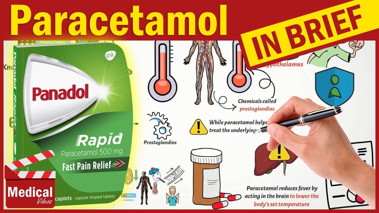 How Does Paracetamol Reduce Fever? (Explained in 2 Minutes)