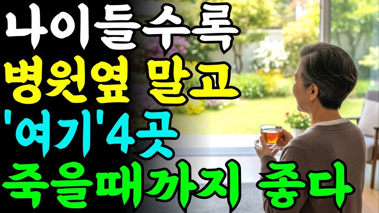 노후엔 ‘이런 곳’에서 살다 죽어야한다 | 노후 혼자 살기 좋은 4곳ㅣ삶의지혜ㅣ노년의삶