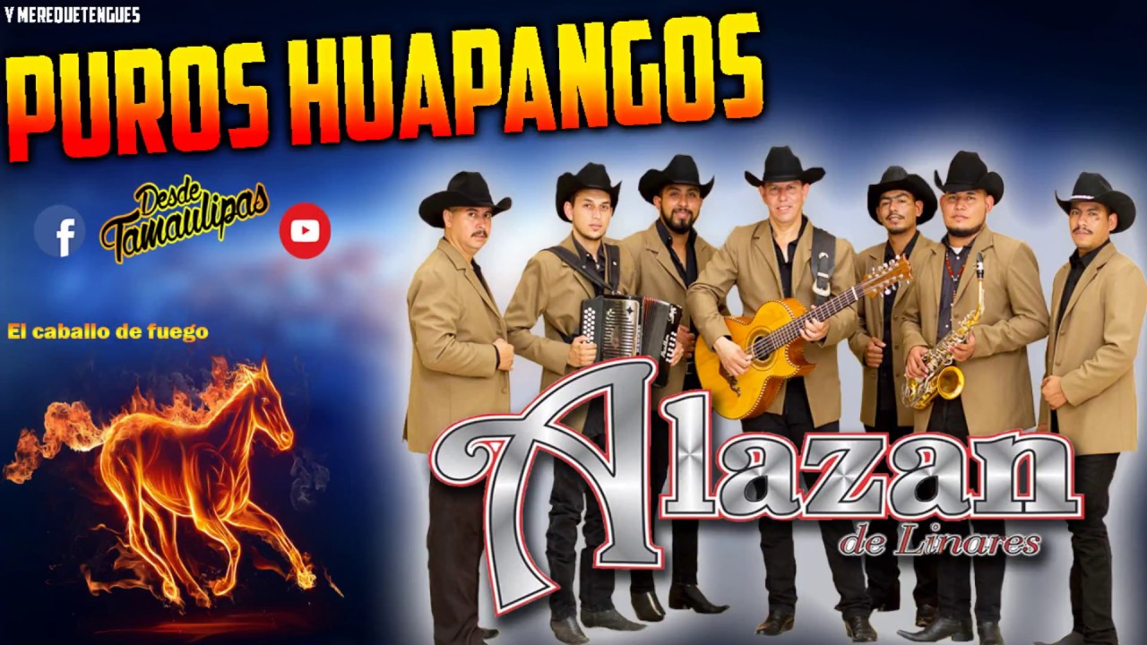 Puros huapangos y merequetengues - Alazán de linares / D.T.