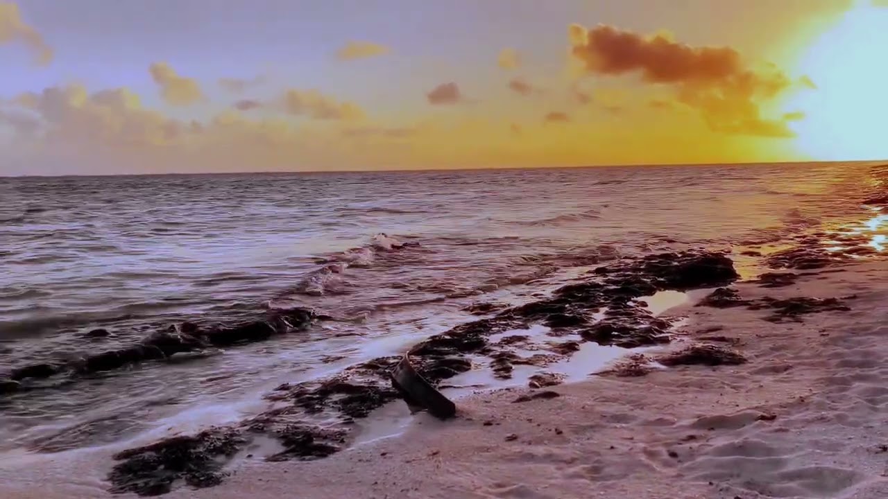 Pemandangan sunset di pantai cook islands#cook islands beach#highlandparadise