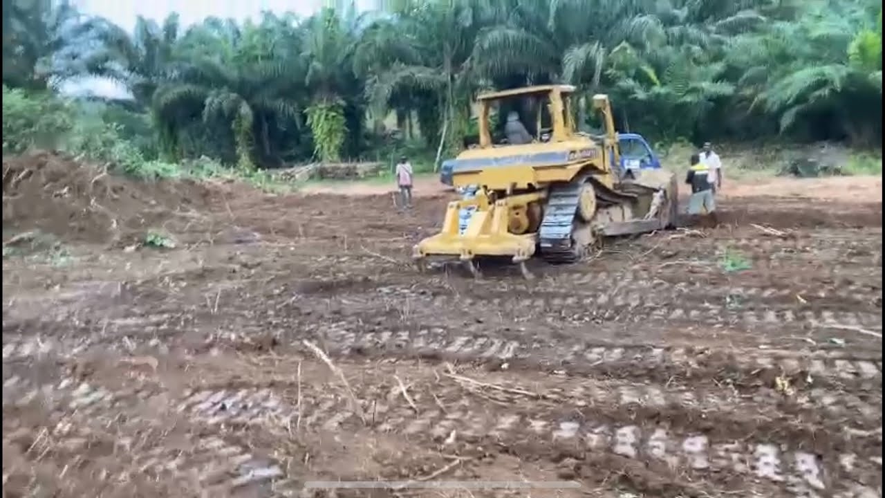 Surveying and Clearing Land || Asebu Pan African Village || Ghana || Cape coast