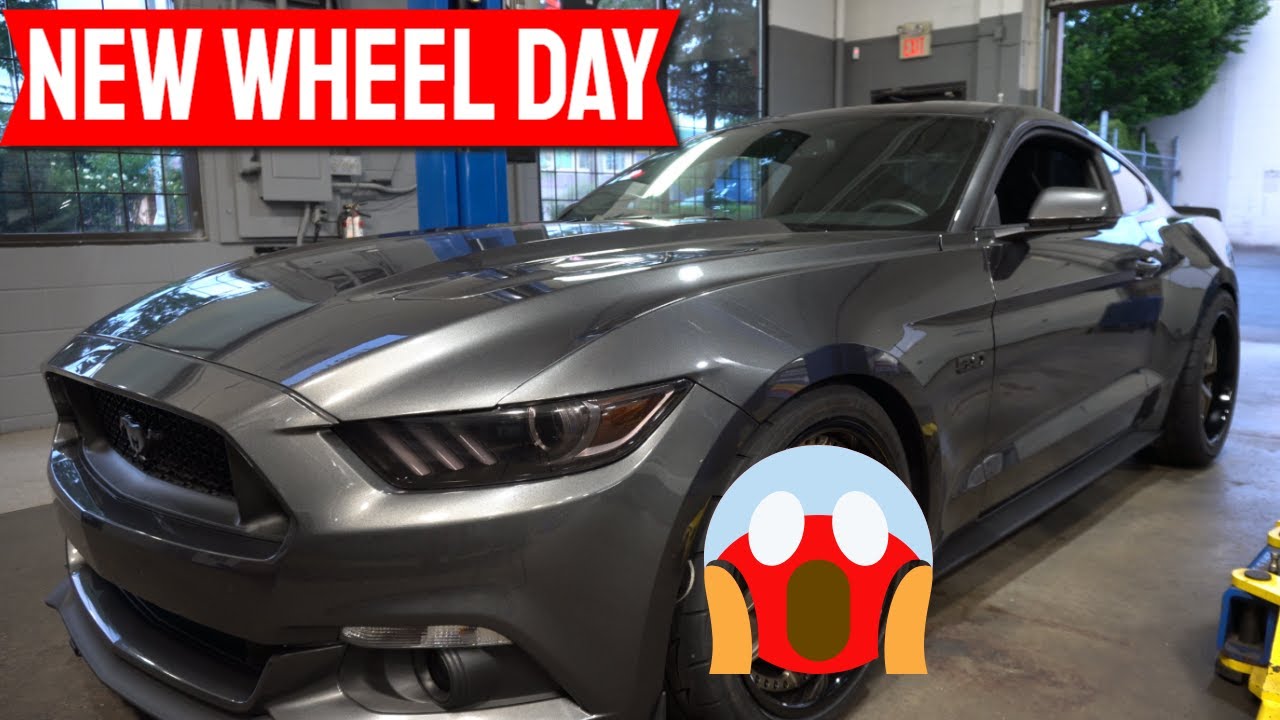 Niche Wheels M227 Bronze w/ Gloss Black Lip // S550 Mustang Wheels