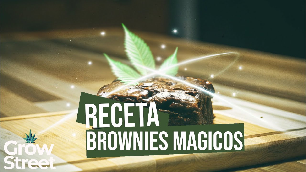 C&oacute;mo Hacer Brownies M&aacute;gicos Perfectos 🌱 - Receta F&aacute;cil y R&aacute;pida