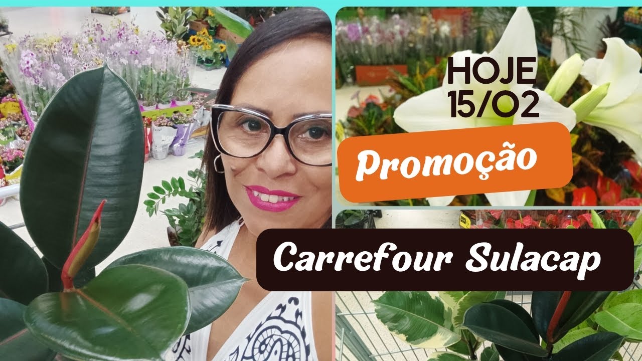 CARREFOUR SULACAP/ PROMO&Ccedil;&Otilde;ES!!