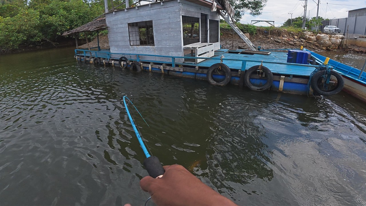 Alhamdulillah, Rejeki Dapat Ikan Kakap Besar