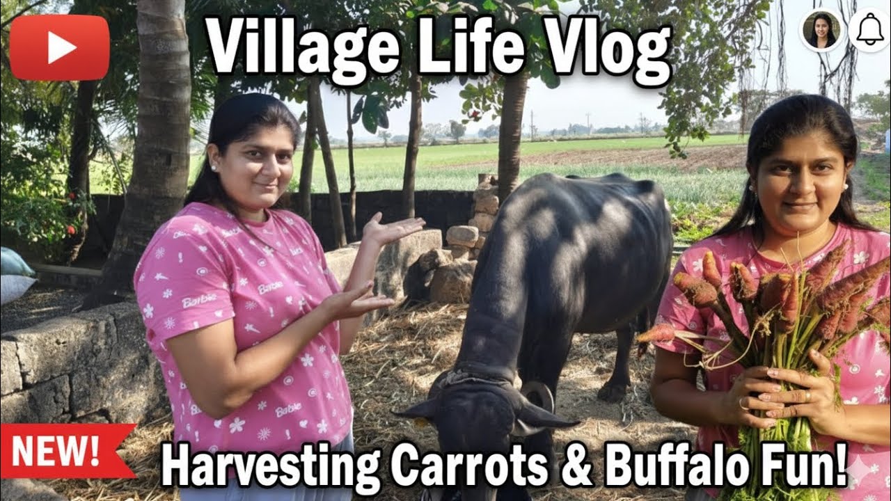  આજ ભેંસ નુ કામ કરવા નો વારો આવો. #trending #villagerlifestyle #vlog #farming 