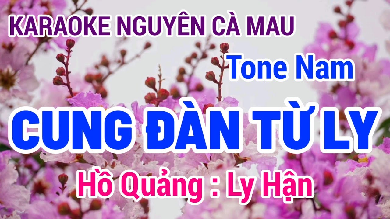 Karaoke Cung Đàn Từ Ly | Hồ Quảng | Ly Hận | Tone Nam | Nguyên Cà Mau 22/5/2024
