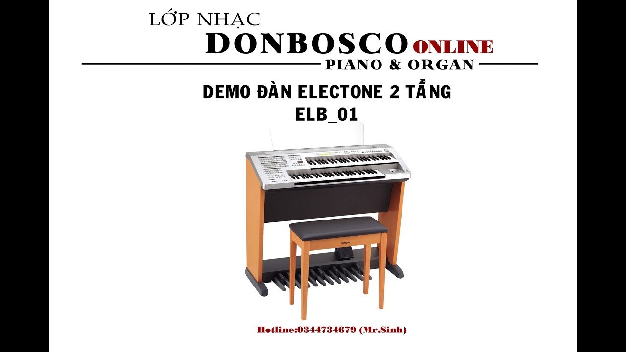 ELECTONE  ELB 01