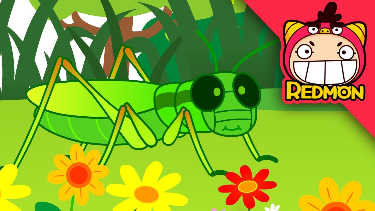 Save the Grasshopper! | Insect Rescue Team | 4K cartoon | REDMON