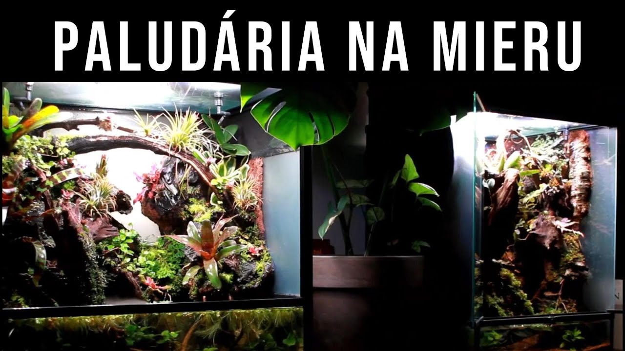PALUDARIUM.SK SLOVAKIA / Gabriel Szakál