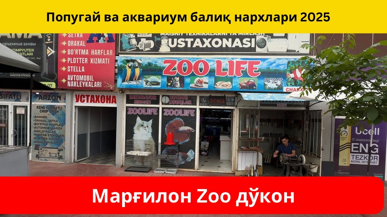 Попугай ва аквариум балиқлар нархлари. Марғилон Зоо дўкон. Қуш бозор