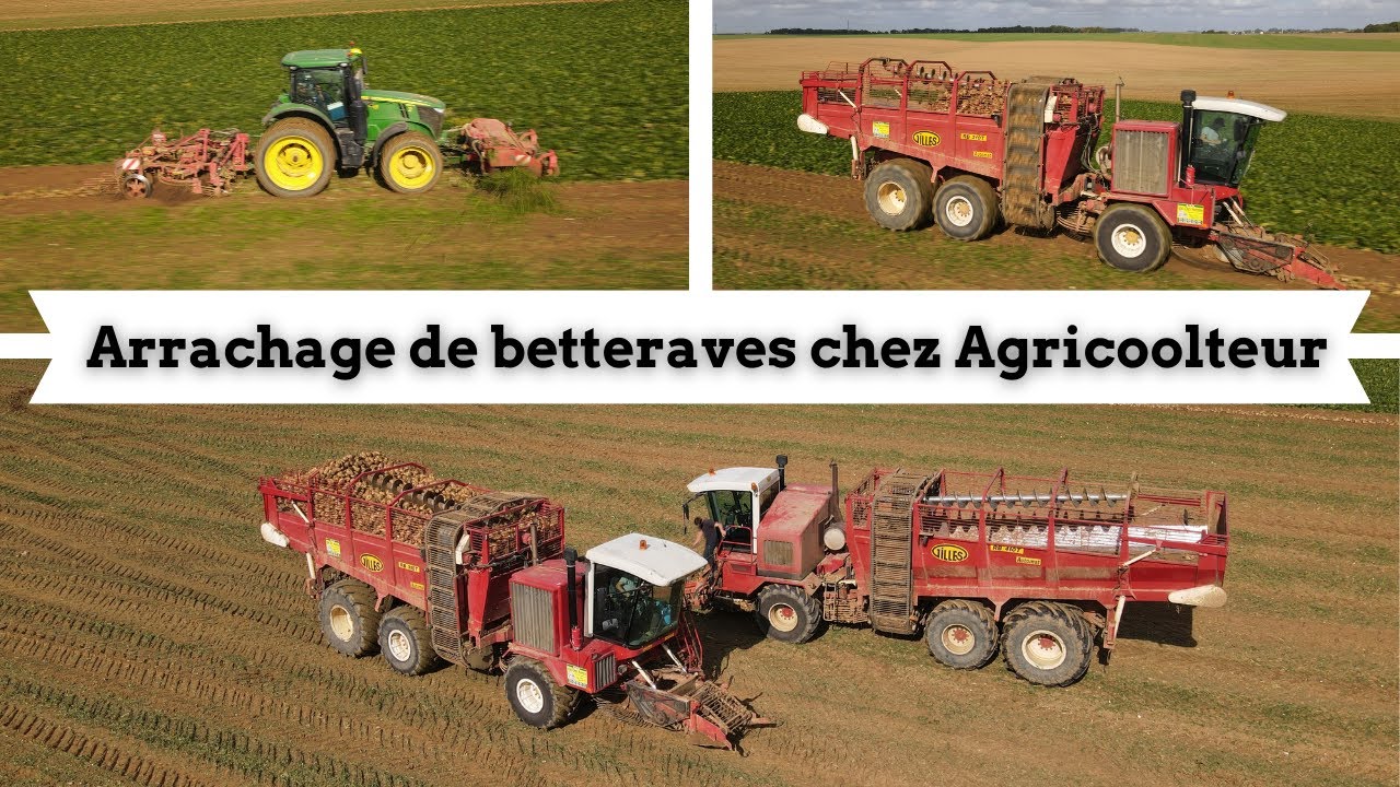 Arrachage de betteraves 2022 chez Agricoolteur