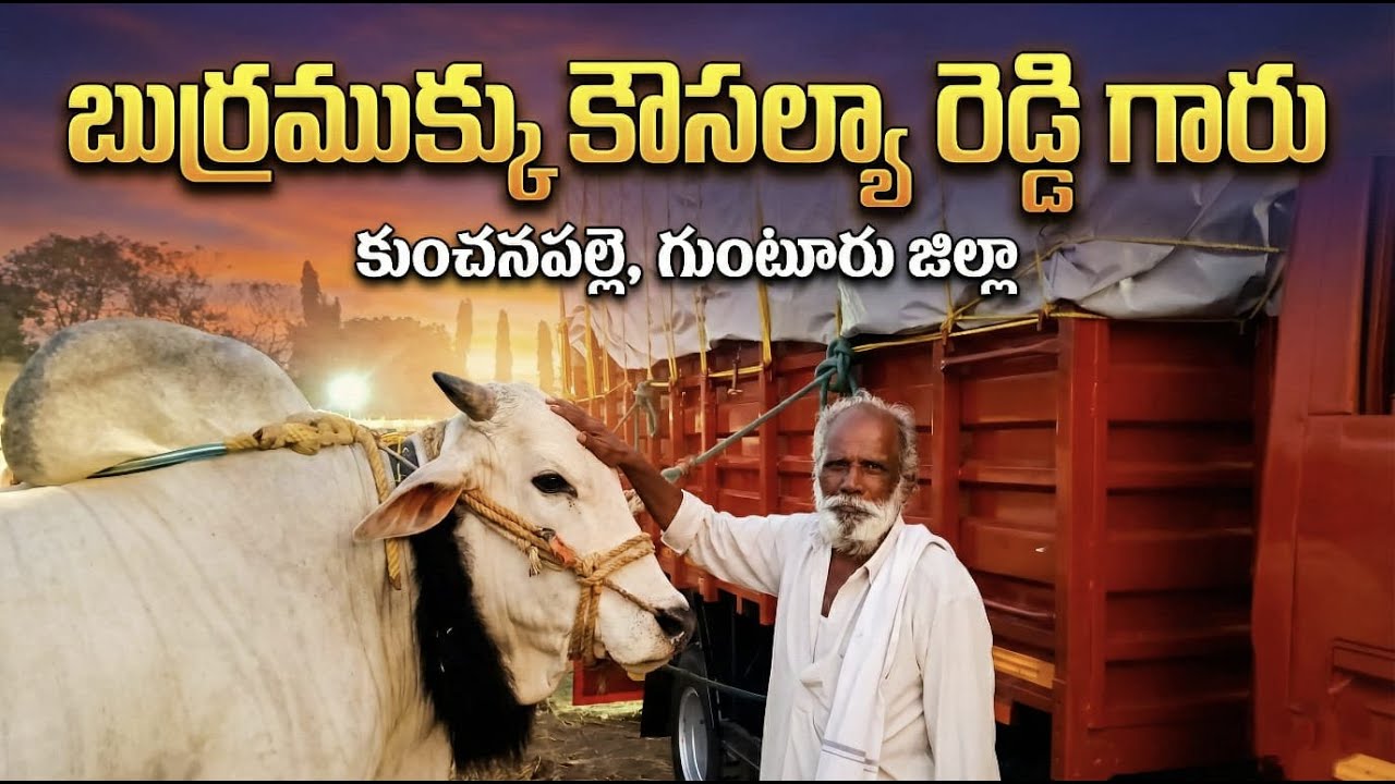 🚩5/2/2026నాదెండ్ల  జూనియర్స్ 6జతబుర్ర ముక్కు కౌశల్య రెడ్డి గారు కుంచనపల్లి తాడేపల్లి మండలం గుంటూరు