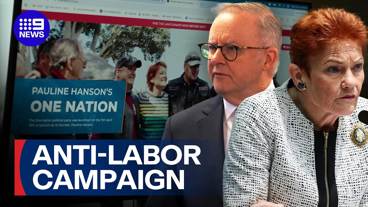 Anthony Albanese targeted by surging One Nation fundraiser | 9 News Australia