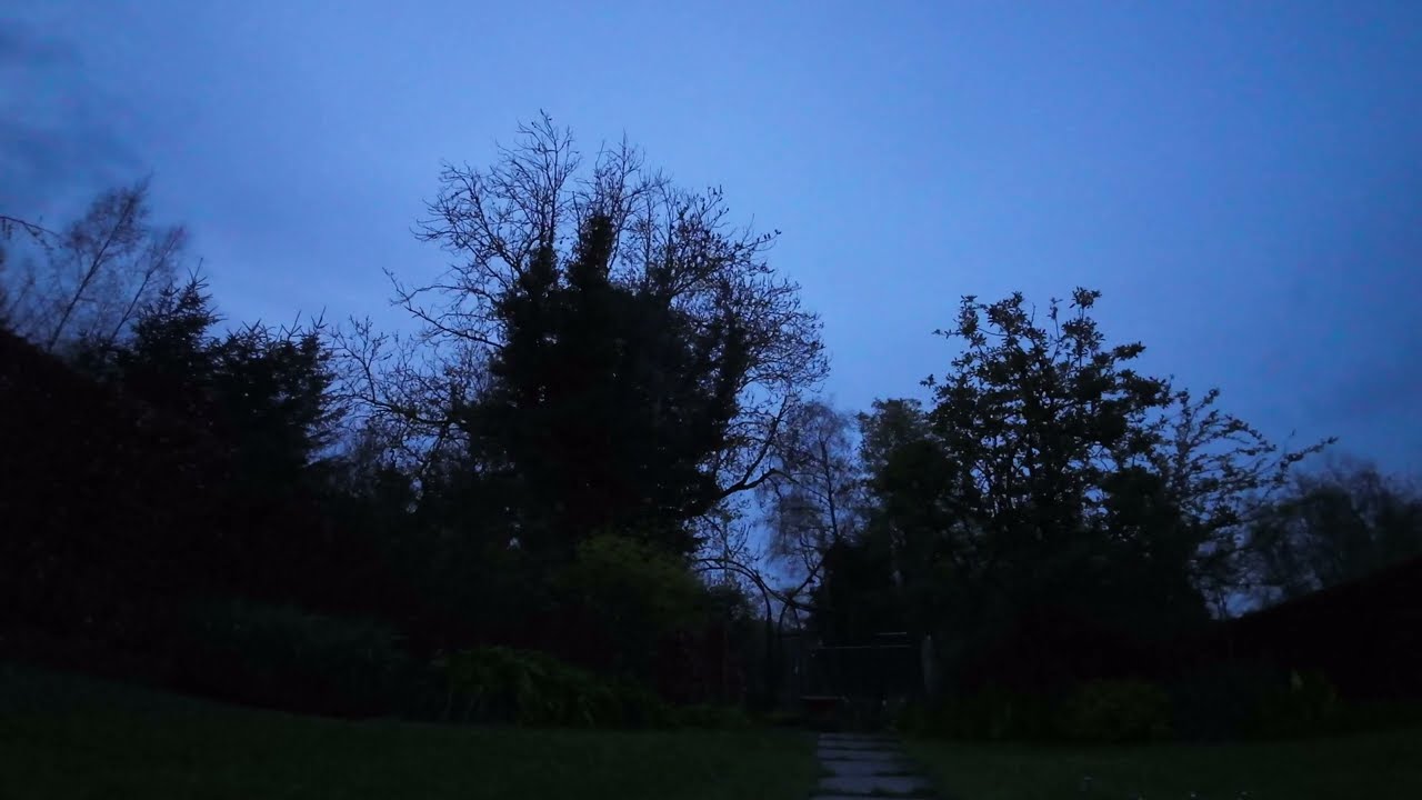 Dawn Chorus - Wicklow Ireland