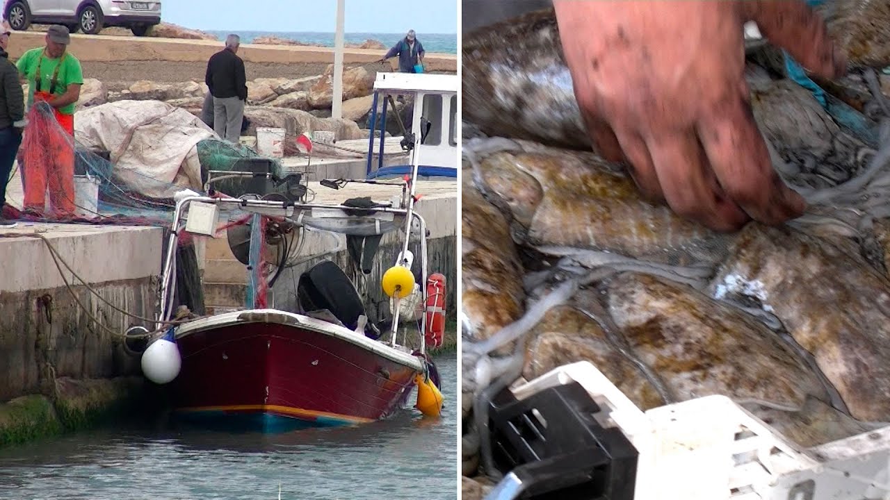 SCICLI-IL RITORNO DELLA SAGRA DELLA SEPPIA A DONNALUCATA