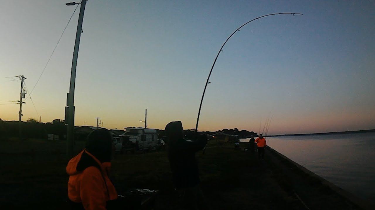 Going for Sharks… Wish Us Luck!