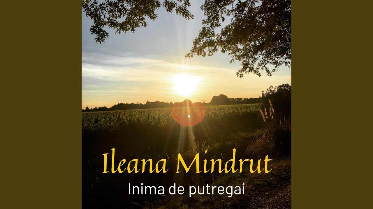 Inima de putregai