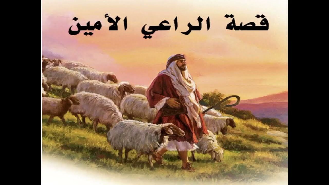 #قصة #الراعي #الأمين @sabry_saad