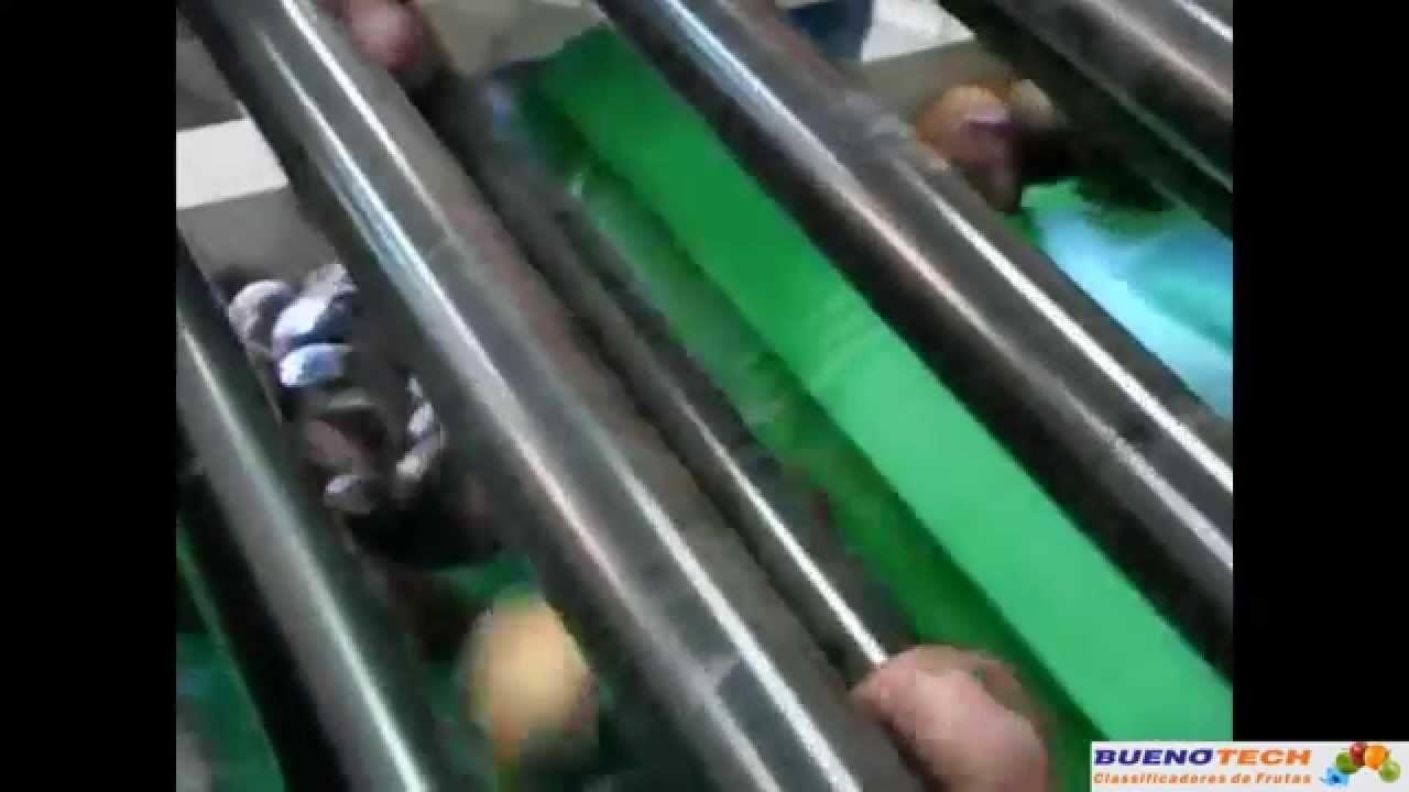 Classificador de Roletes - Calibrador de Roletes - Classificação por diâmetro - Buenotech