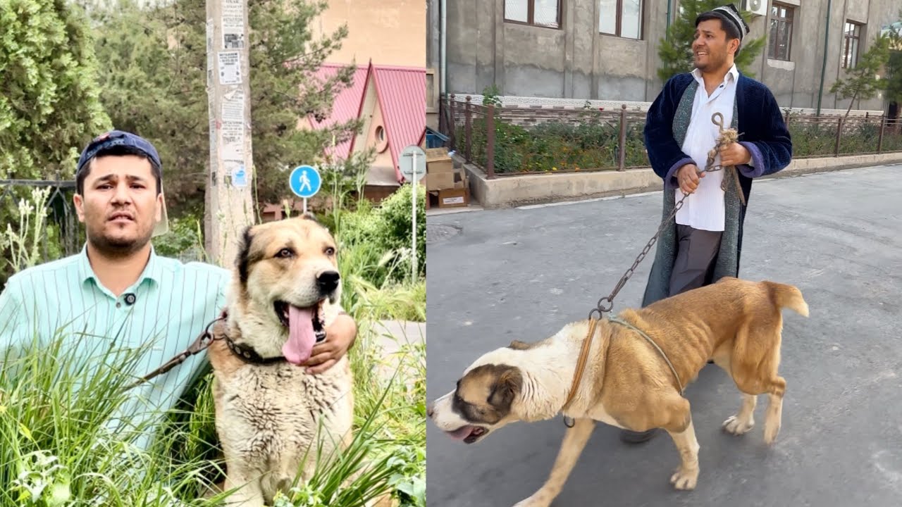 Anjanli boladan eng saralari. Obuna bo’lib qo’ying zo’rlari oldinda