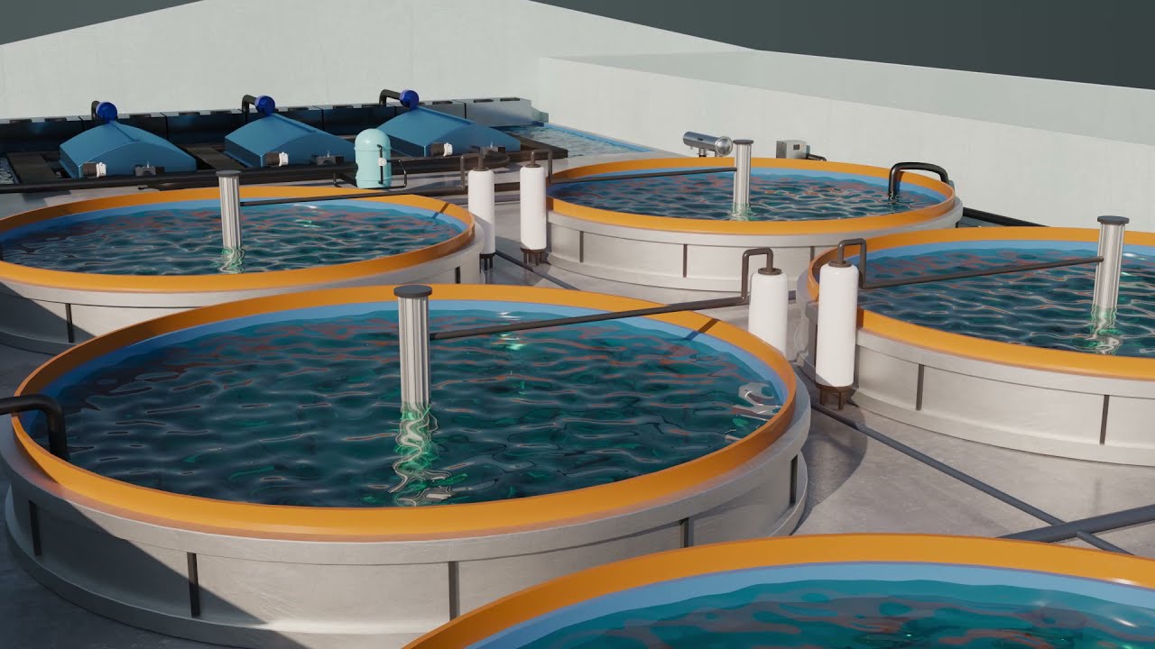Filtration & Disinfection for Aquaculture