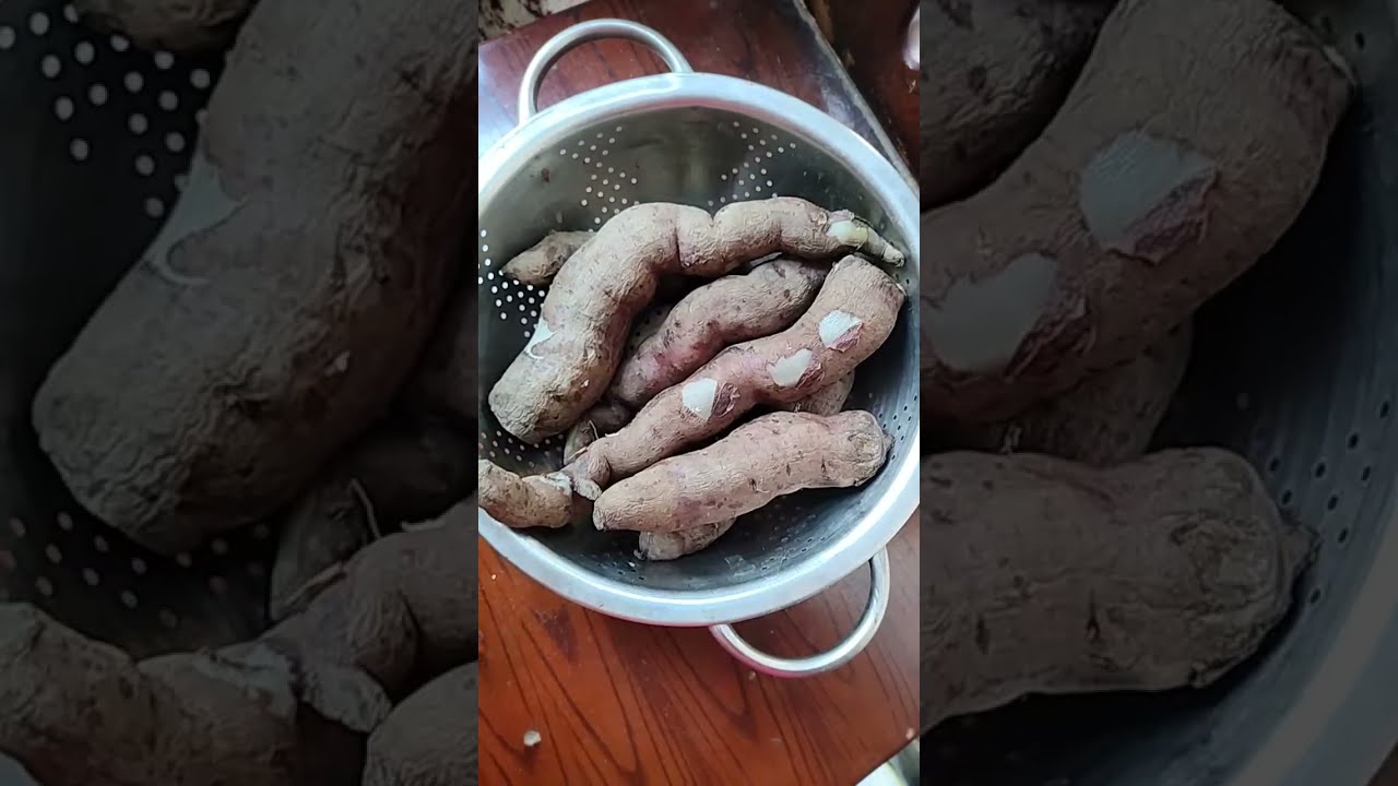 আমার খুব পছন্দের 😋 @Wander with Nipa is live!
