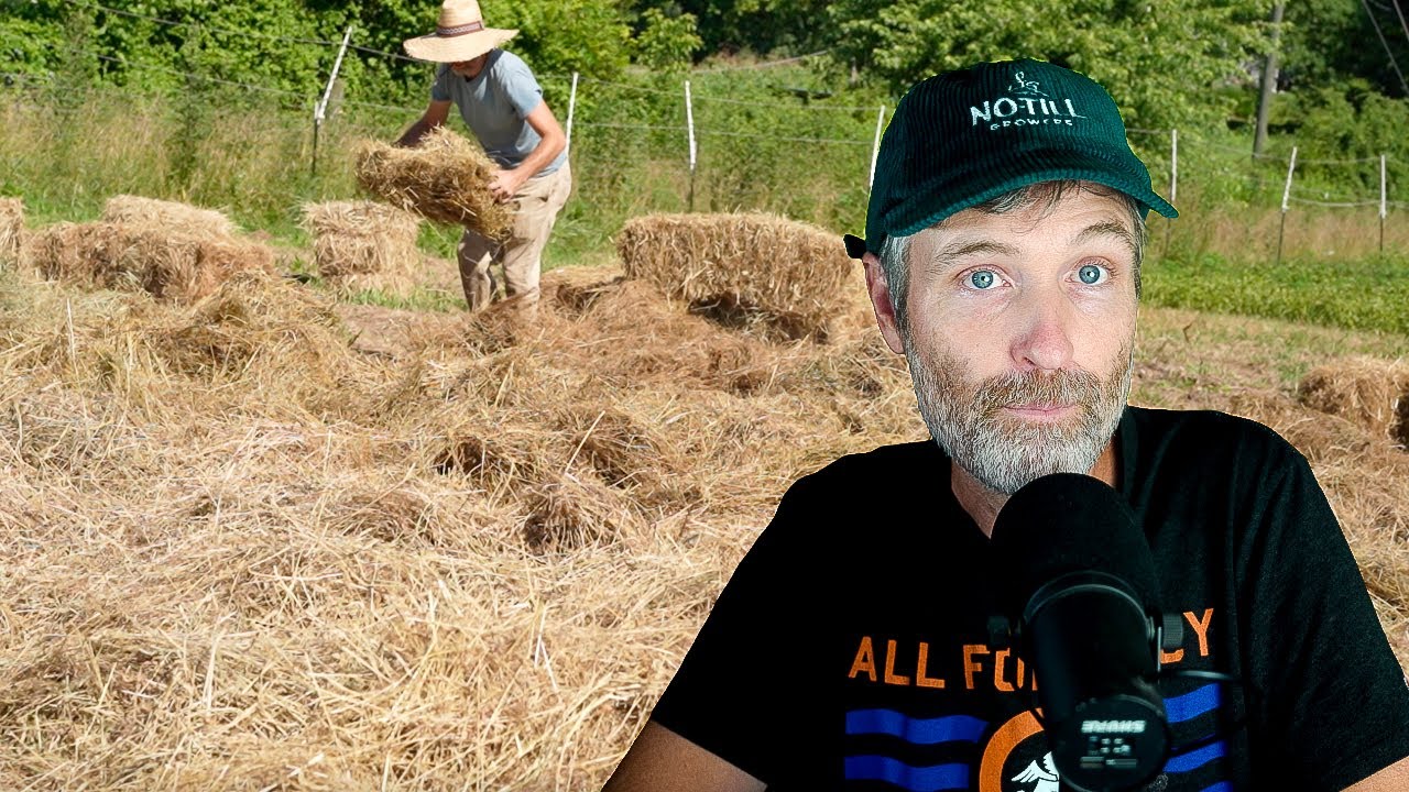 When Hay is Your Only Mulch Option + The Dogma Free Garden is a Happy Garden