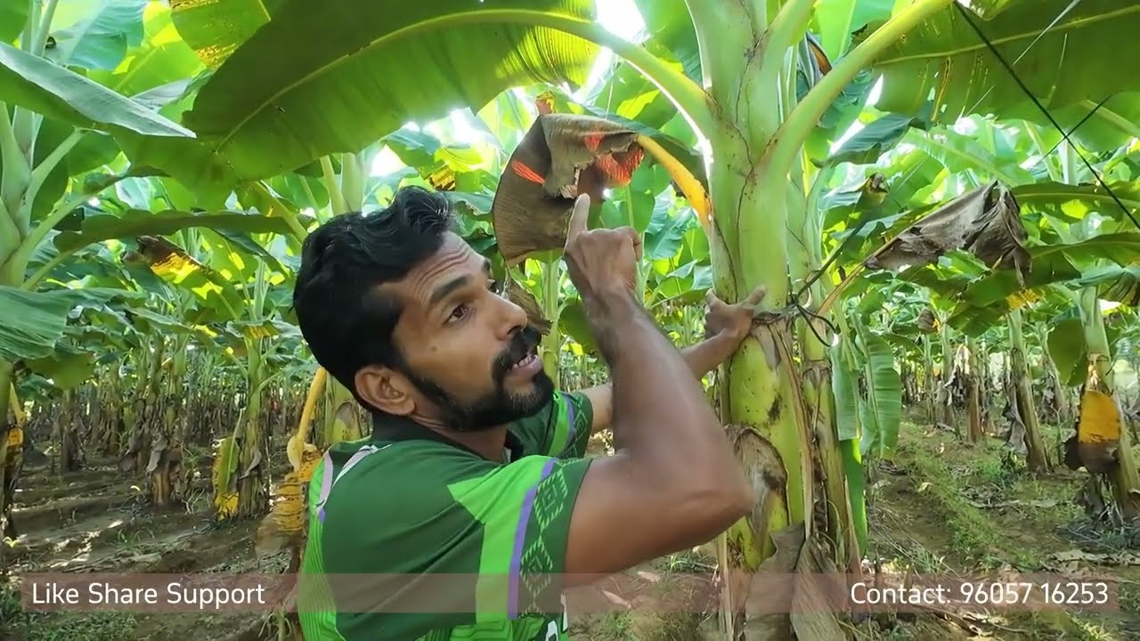 കാറ്റിനെ പ്രേധിരോധിക്കാം 1 മിനിറ്റ്ൽ