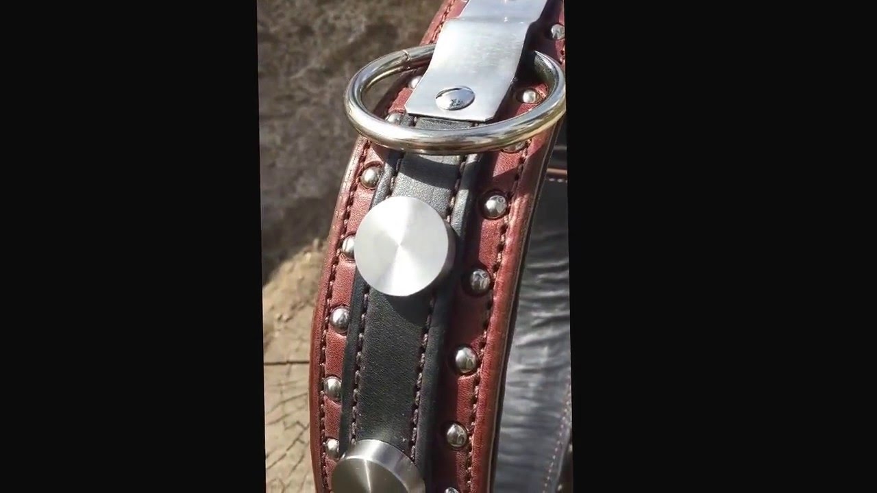 The Centurion Collar, 1