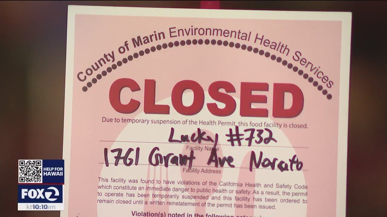 Rodent problem shuts down North Bay grocery store