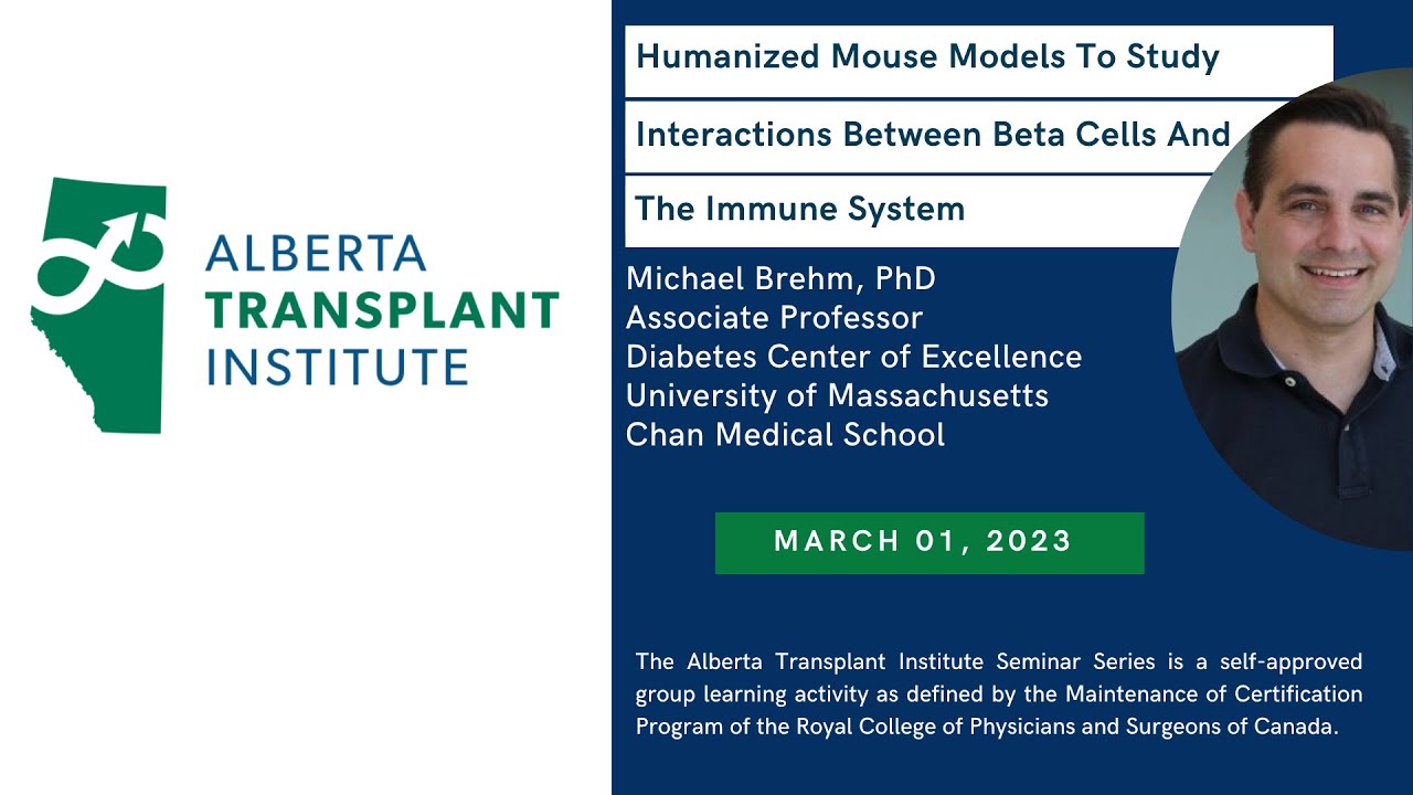 Human Mouse Models to Study Interactions Between Beta Cells and The Immune System